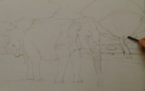 hand hollding graphite stick sketching an elephant