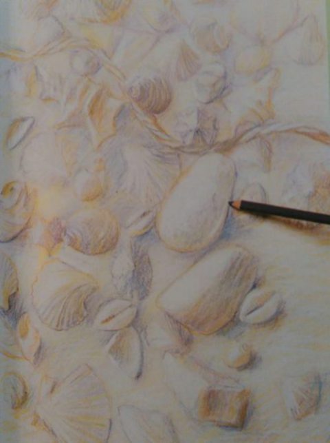 dark pastel pencil addin shades to a drawing of seashells