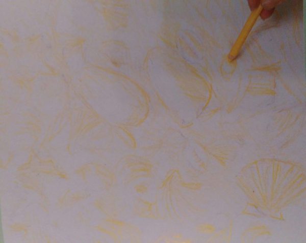 hand holding a pastel pencil drawing a sketch of seashells