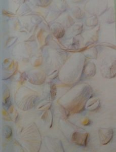 drawing of seashells made with pastel pencils