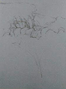 sketch of a fild with wild flowers made with graphite pencil
