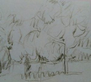 sketch of trees made with a pencil