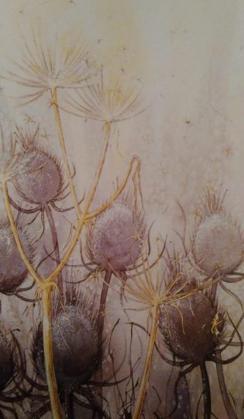 painting of a thistle made with watercolors and salt